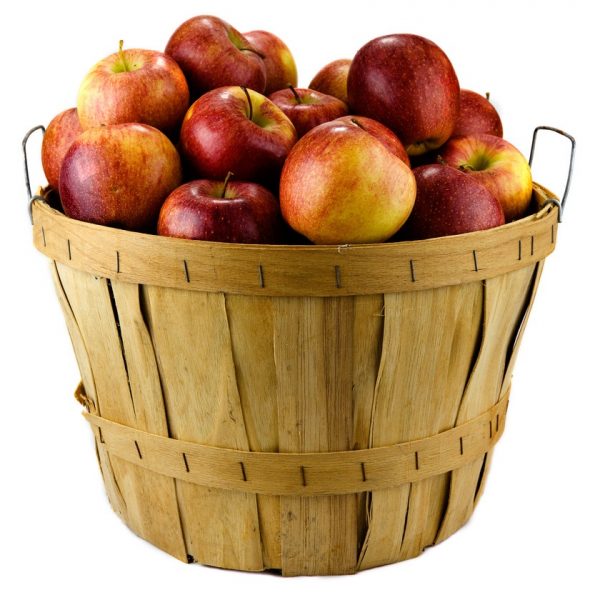 Bushel