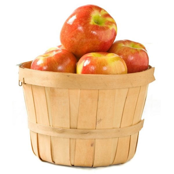 1/8 Bushel