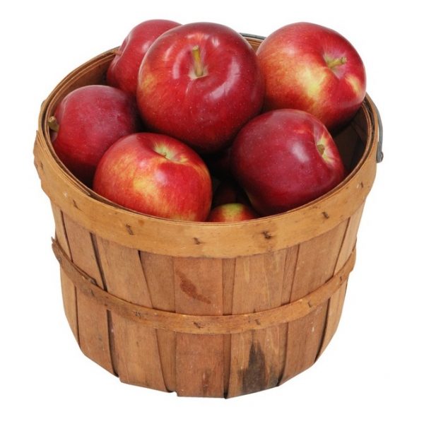1/4 Bushel